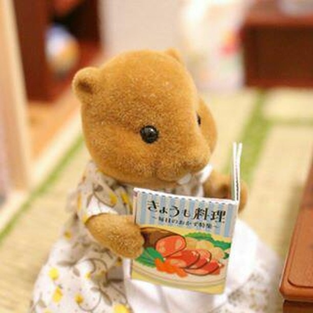 大人のシルバニアファンnaomiがおすすめ かわいいミニチュアグッズ10選 Mybest