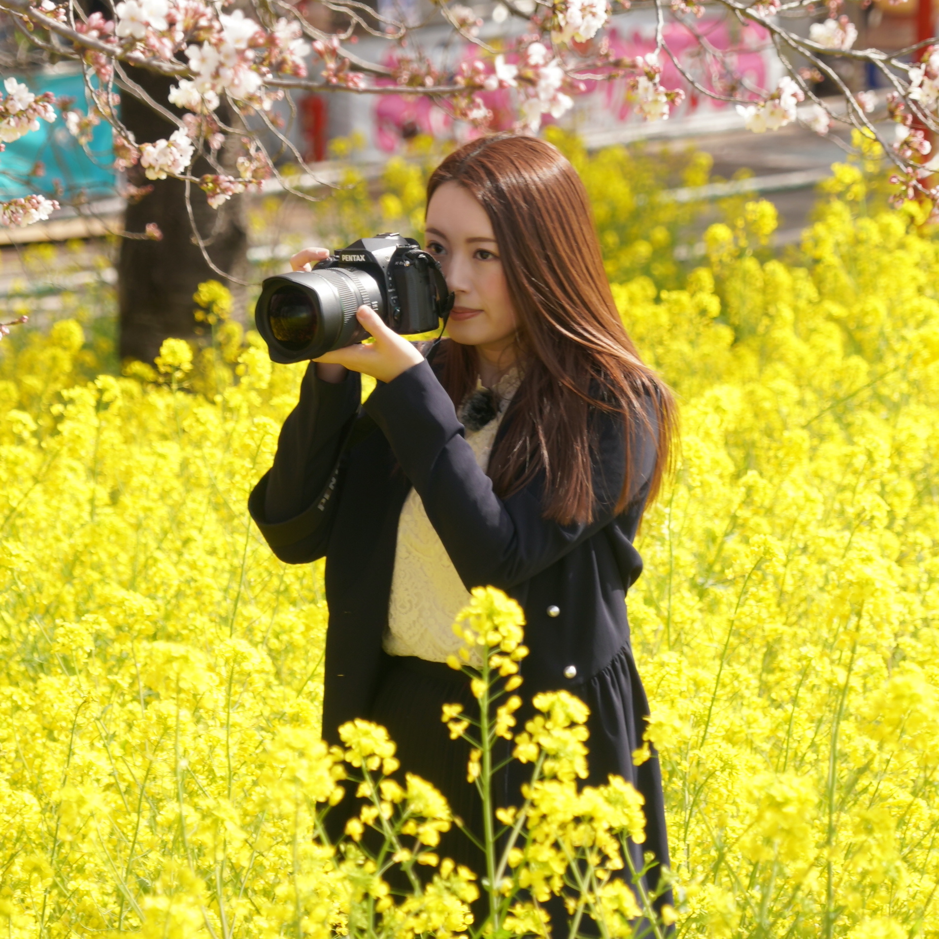 田島知華（たじはる）