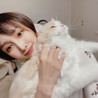 森彩香