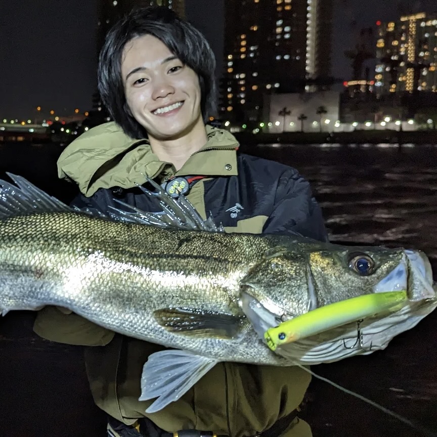 外山将平