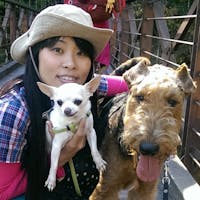 関野ひさよ