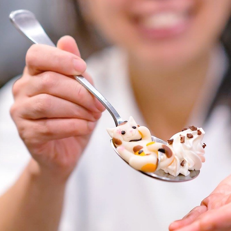 22年 韓国のお菓子のおすすめ人気ランキング30選 Mybest